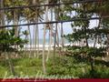 SHAKTHI Guest House &amp; Restaurant