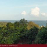 Land in mountain with ocean view