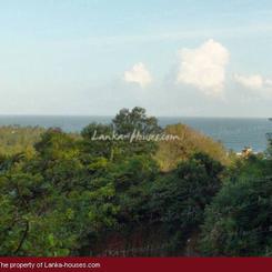 Land in mountain with ocean view