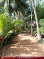 SWEDISH LANKA Guest House