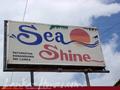 SEA SHIN