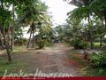 ENDLESS SUMMER Guest House