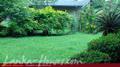House in Heart of Galle