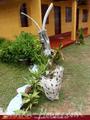 SABINA Holiday Resort &amp; Restaurant