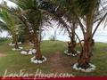 SABINA Holiday Resort &amp; Restaurant
