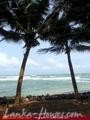 BEACH INNS Holiday Resort