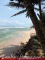 BEACH INNS Holiday Resort
