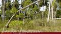 Beach Land in Tangalla area (150 perch)
