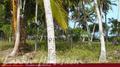 Beach Land in Tangalla area (150 perch)