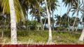 Beach Land in Tangalla area (150 perch)
