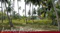 Beach Land in Tangalla area (150 perch)