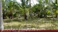Beach Land in Tangalla area (150 perch)