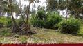 Beach Land in Tangalla area (1,5 acre)