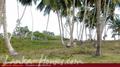 Beach Land in Tangalla area (1,5 acre)