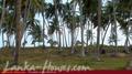 Beach Land in Tangalla area (1,5 acre)