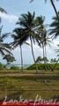 Beach Land in Tangalla area (1,5 acre)