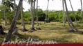 Beach Land in Tangalla area (1,5 acre)