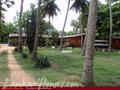 SINGHA Tourist Inn