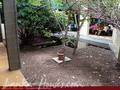 SUN SINDU Hotel