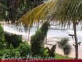 SEA GARDEN Guest House