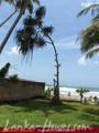 SEA GARDEN Guest House