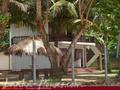 SEA GARDEN Guest House