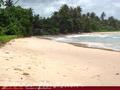 SEA GARDEN Guest House