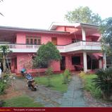 DILMI House