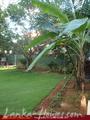 DILMI House