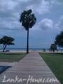 Chaaya Blu Hotel Trincomalee
