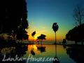 Chaaya Blu Hotel Trincomalee