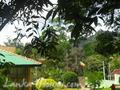 Hotel Thushara Horton Reach