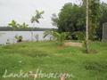 Perfect  land on the river bank