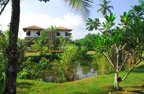 Villa Mangrove Villa Mangrove
