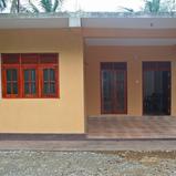 JUNGLE House