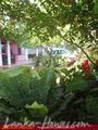 FLOWER GARDEN Guest House