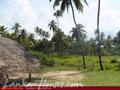 Beach Land in Kosgoda