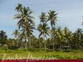 Beach Land in Kosgoda