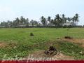 Beach land in Waduwa, Kalutara disctrict