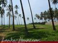 Beach land with old house