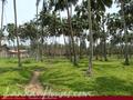 Beach land with old house
