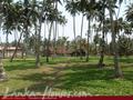 Beach land with old house