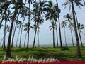 Beach land with old house