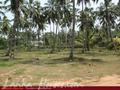 Beach land with old house