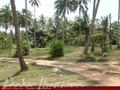Beach land with old house