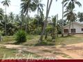 Beach land with old house