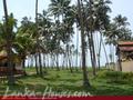Beach land with old house