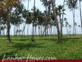 Beach land with old house