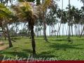 Beach land with old house