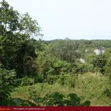 Land on the lake in Panadura